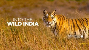 Vissza a vadonba - India kép