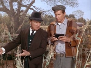 Green Acres Season 2 Ep.30 30. epizód