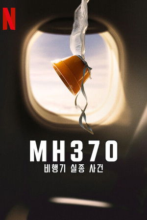 MH370: Az eltűnt repülőgép poszter