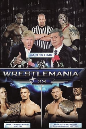 WWE WrestleMania 23 poszter