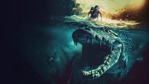 Gator Lake háttérkép