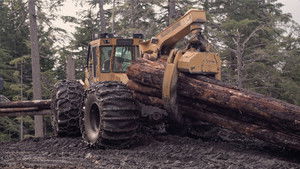 Planted in 2020 háttérkép