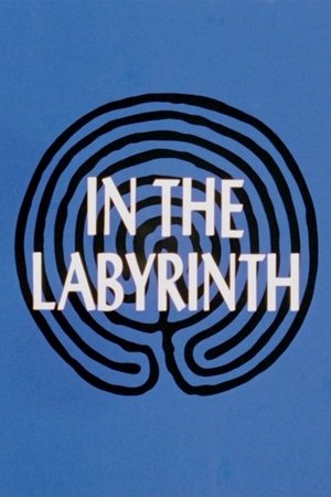 In the Labyrinth poszter