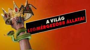 A világ legmérgezőbb állatai kép