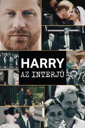 Harry − Az interjú