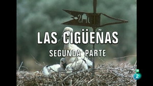 El hombre y la Tierra 2. évad Ep.8 8. epizód