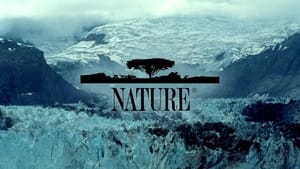 Nature kép