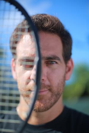 Del Potro, el último match point poszter