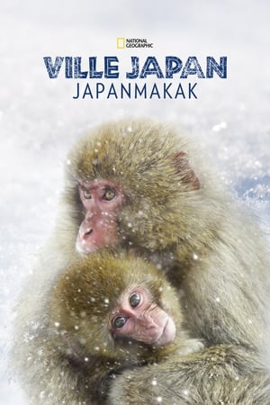 Vad Japán: makákók birodalmában poszter