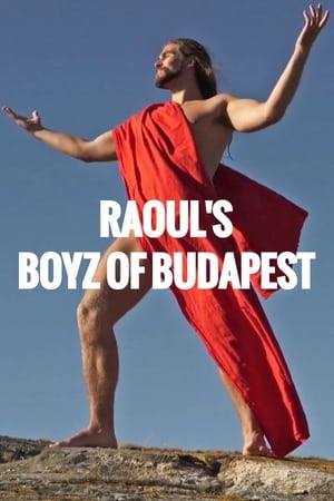 Raoul's Boys of Budapest poszter