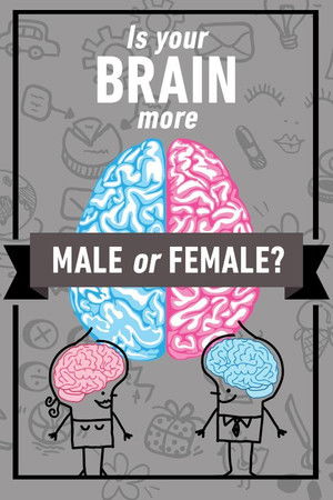 Is Your Brain Male or Female? poszter