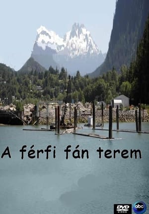 A férfi fán terem