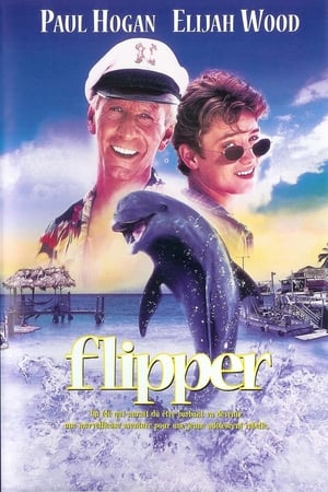 Flipper poszter