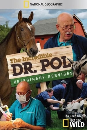 Dr. Pol állatklinikája