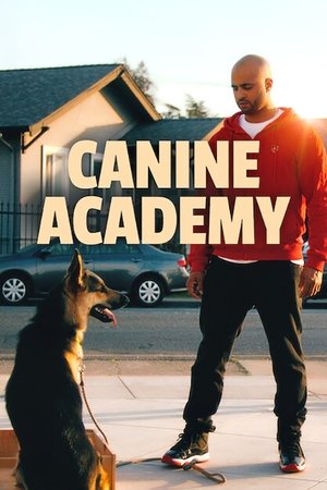 CALI K9 - Nincs reménytelen kutya poszter
