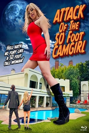 Attack of the 50 Foot Camgirl poszter