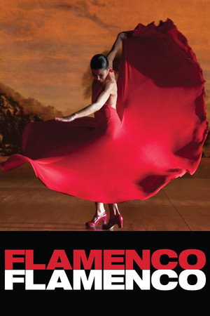 Flamenco Flamenco poszter