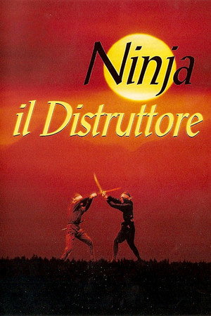 Ninja Destroyer poszter