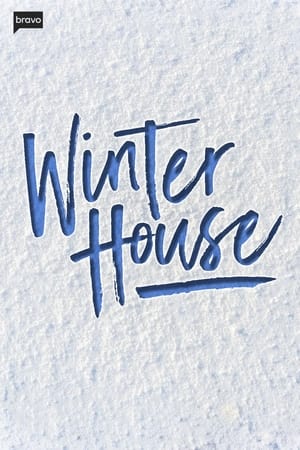 Winter House poszter