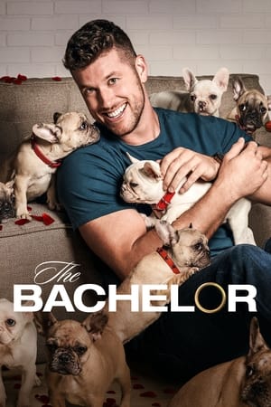 The Bachelor