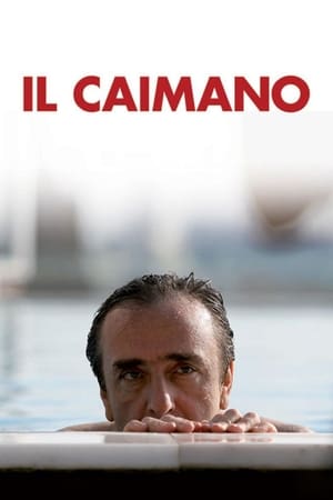 Il caimano poszter