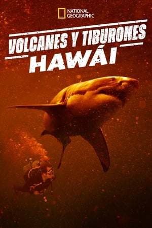 Sharkcano: Hawaii poszter