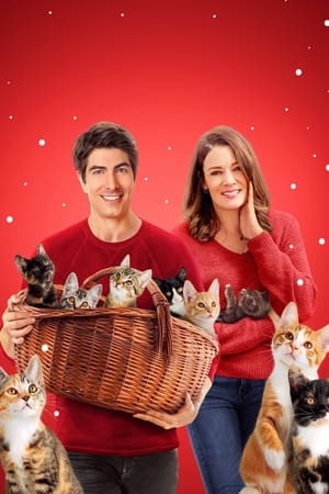 The Nine Kittens of Christmas poszter