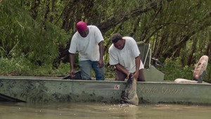 Swamp People 16. évad Ep.13 13. epizód