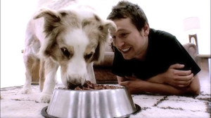 Doggie Heaven háttérkép