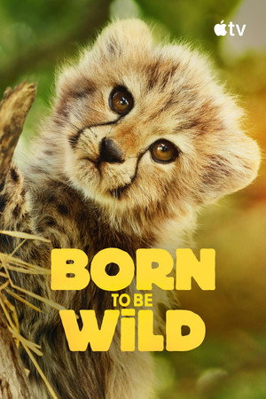 Born to Be Wild poszter