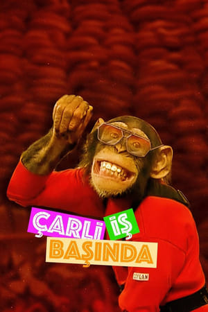 Çarli İş Başında