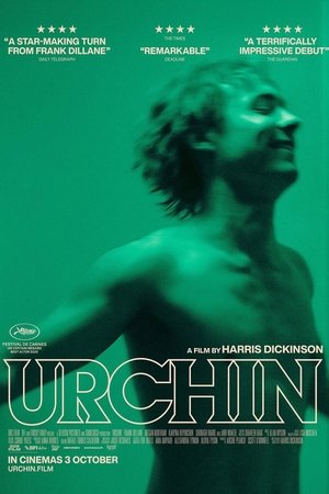 Urchin poszter