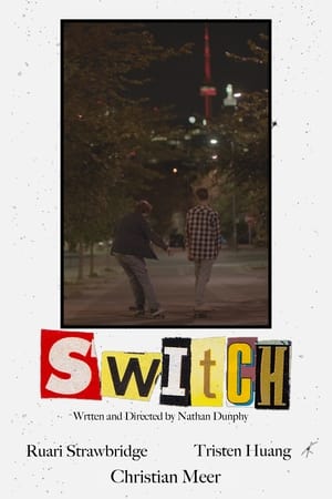 Switch poszter