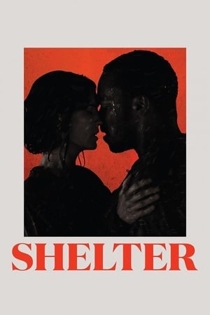 Shelter poszter