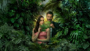 Mystery Island: Winner Takes All háttérkép