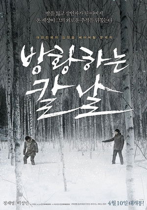 방황하는 칼날 poszter