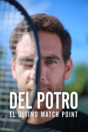 Del Potro, el último match point poszter