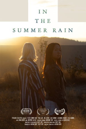 In the Summer Rain poszter