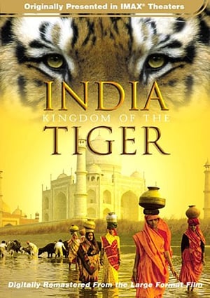 IMAX - India: A tigris birodalma poszter