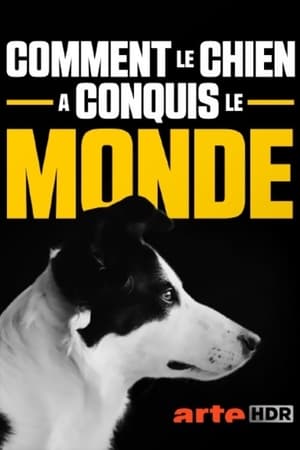 Comment le chien a conquis le monde poszter