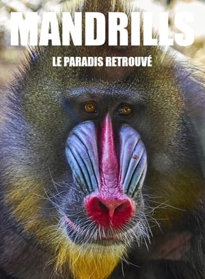 Mandrills : le paradis retrouvé poszter