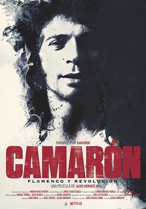 Camarón: Flamenco y revolución poszter