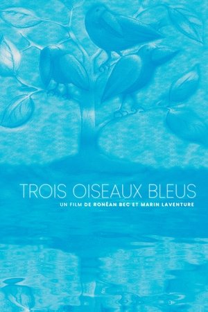 Trois oiseaux bleus poszter