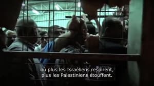 Derrière les fronts : résistances et résiliences en Palestine háttérkép