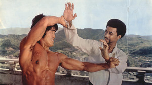 唐山虎威殲殺手 háttérkép
