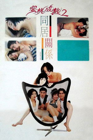 同居关系 poszter