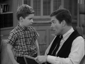 The Dick Van Dyke Show Season 1 Ep.20 20. epizód