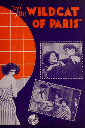 The Wildcat of Paris poszter