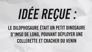Idée reçue 1. évad Ep.41 41. epizód