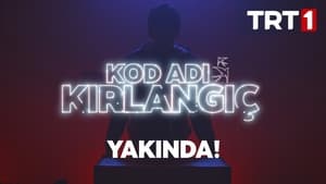 Kod Adı: Kırlangıç kép